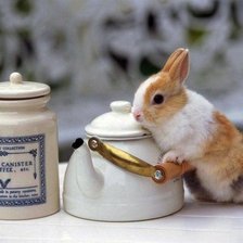 Схема вышивки «Кролик»