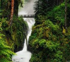 Схема вышивки «водопад в лесу»