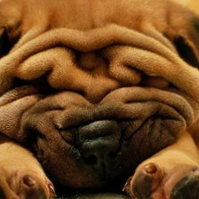 Схема вышивки «№190582»