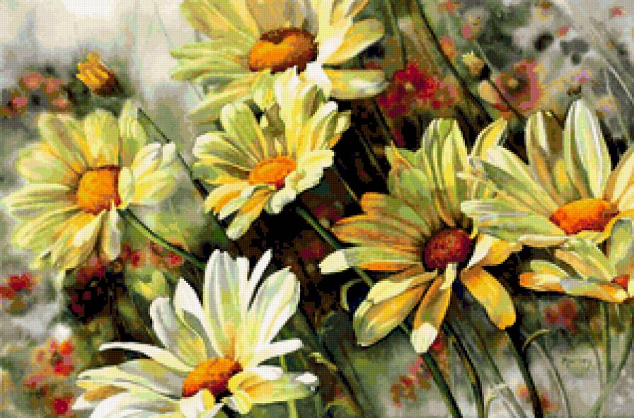 Ромашки - цветы, природа, ромашки - предпросмотр