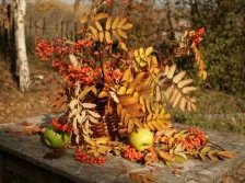 Схема вышивки «Рябиновый букет»