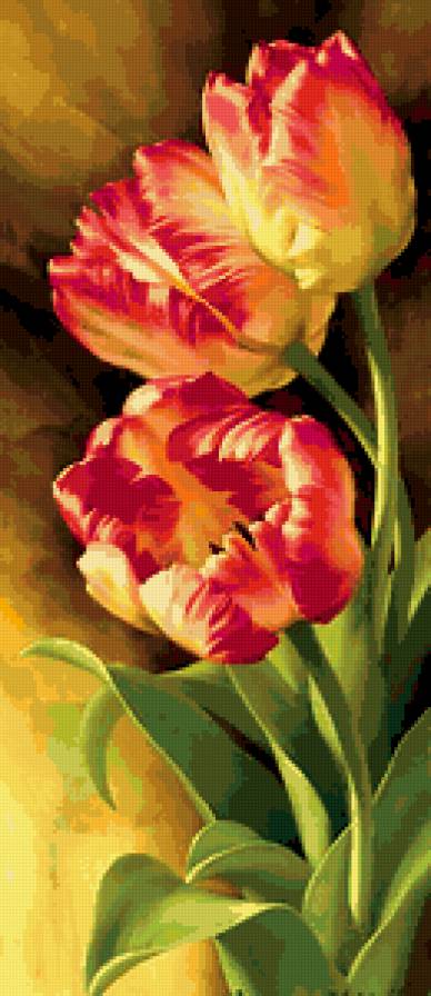 Тюльпаны - цветы - предпросмотр