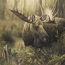 Схема вышивки «лось»