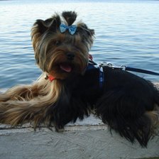 Схема вышивки «фиджик»