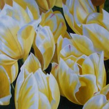 Схема вышивки «тюльпаны»