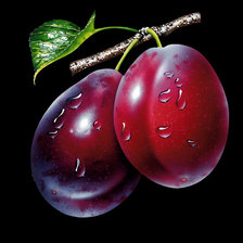 Схема вышивки «№191279»