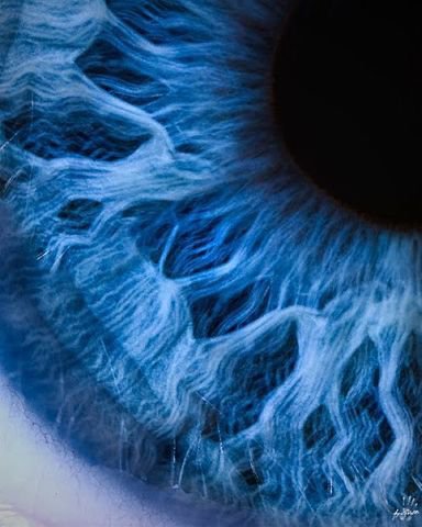 голубой глазик) - оригинал