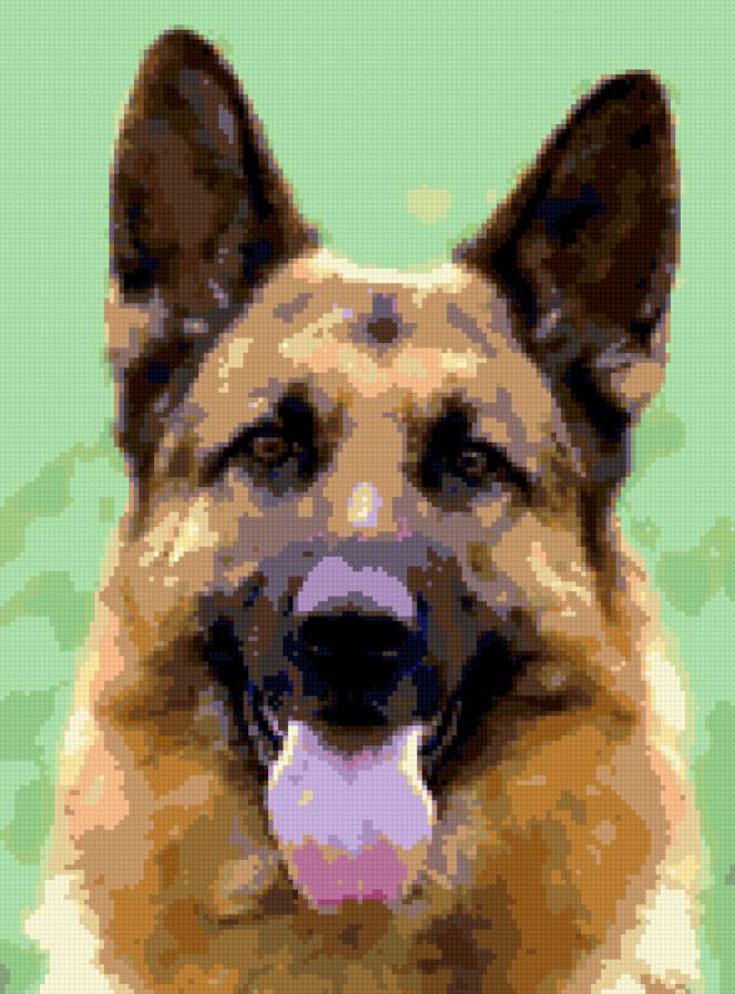 Мухтар - сериал, собака - предпросмотр