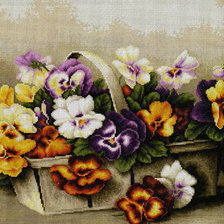 Схема вышивки «анютины глазки»