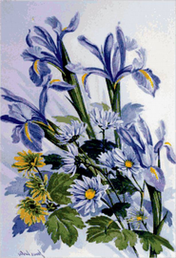 №191387 - цветы, ирисы, букет, ромашки - предпросмотр