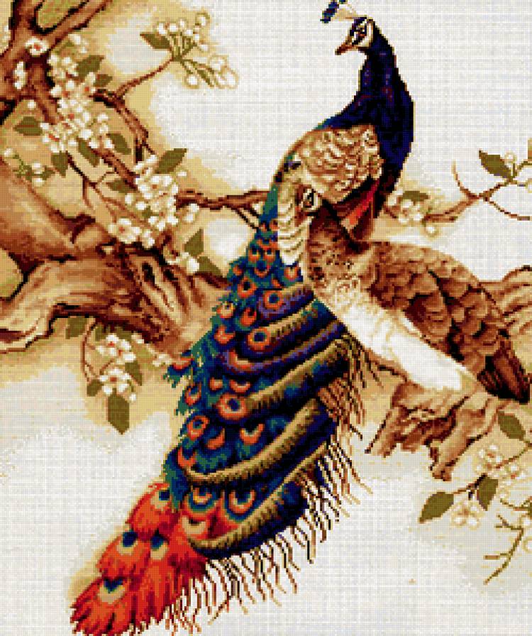 пара - цветы, птицы, павлины - предпросмотр