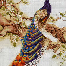 Схема вышивки «пара»