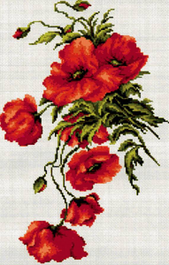 пано - маки, пано, цветы - предпросмотр