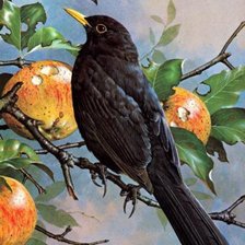 Схема вышивки «№191423»