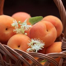 Схема вышивки «апетитные фрукты»