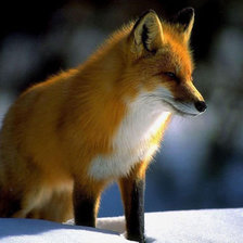 Схема вышивки «Лисичка»