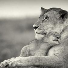 Схема вышивки «Мать и дитя»