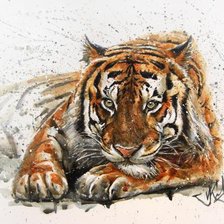 Схема вышивки «Тигр»