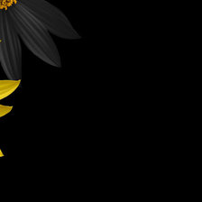 Схема вышивки «Цветы»