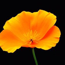 Схема вышивки «цветок»