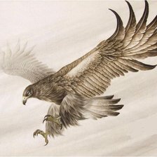 Схема вышивки «орлица»