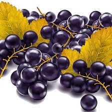 Схема вышивки «Черная смородина»