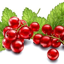 Красная смородина