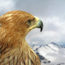 Схема вышивки «орел»