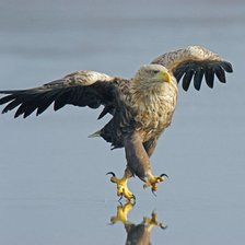 Схема вышивки «первые шаги»