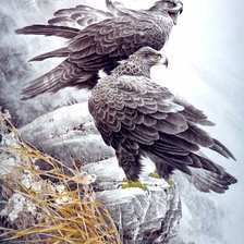 Схема вышивки «орлы»