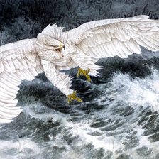 Схема вышивки «белый орел»