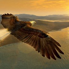 Схема вышивки «орел»