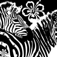 Схема вышивки «зебры»