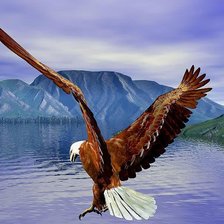 Схема вышивки «орел»