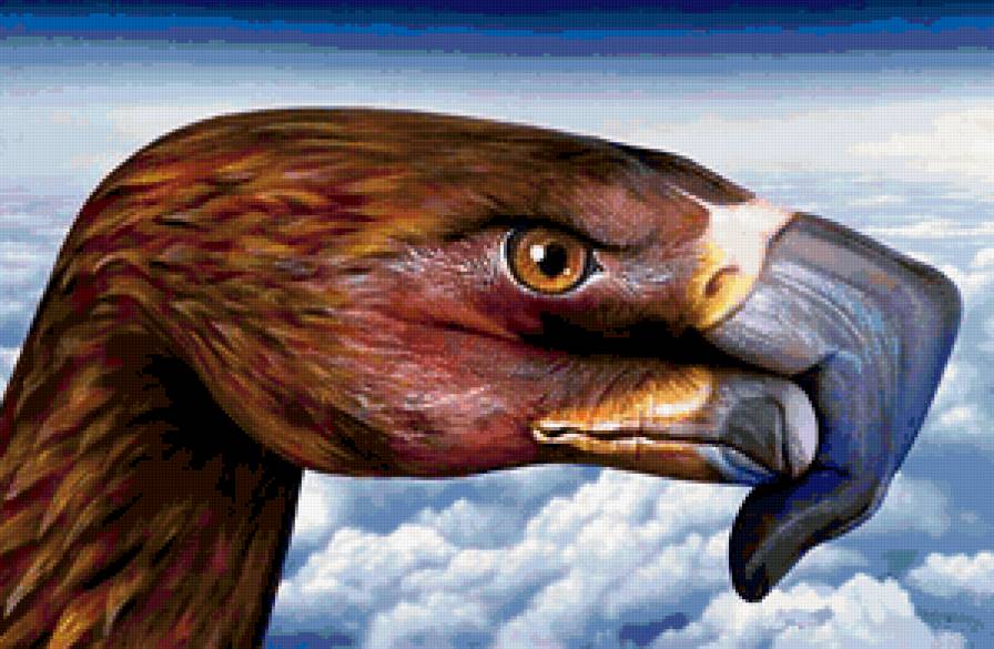 серия "стиль-Орел" - облака, руки, хищные, большие птицы, полет, орлы - предпросмотр