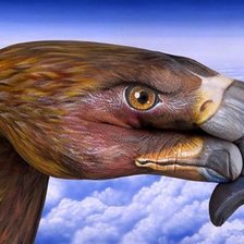 Схема вышивки «серия "стиль-Орел"»