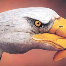 Схема вышивки «серия "стиль-орел"»