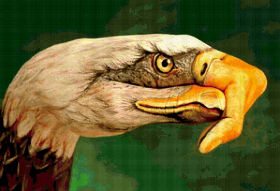 серия "стиль-орел" - орлы, большие птицы, хищные, руки - предпросмотр