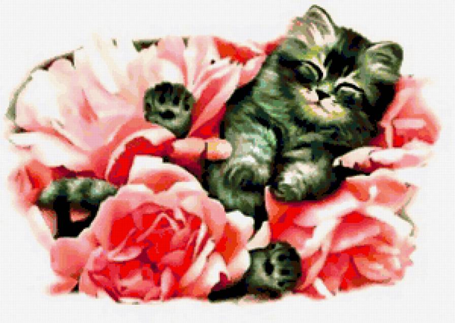 Кошки в цветах - кошки в цветах, цветы, кошка, животные, маки, мак, кошки - предпросмотр