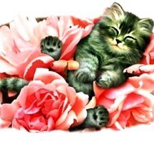 Схема вышивки «Кошки в цветах»