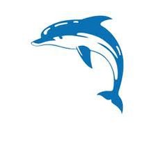 Схема вышивки «delfin1»