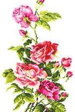 Схема вышивки «Розы»