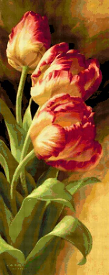 Тюльпаны - цветы, тюльпаны, букет - предпросмотр