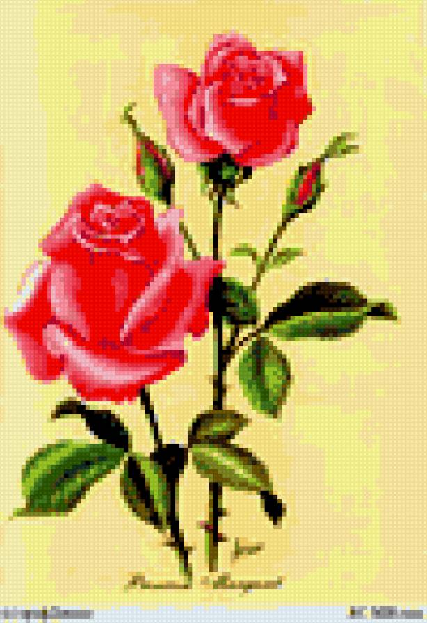 красные розы - розы - предпросмотр