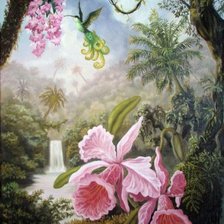 Схема вышивки «Орхидеи»