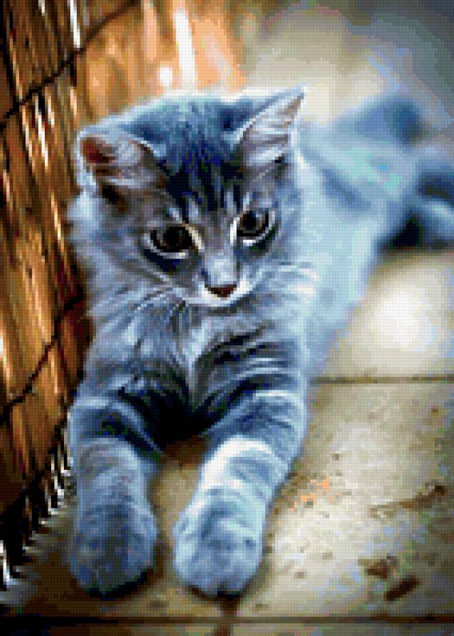 киса - предпросмотр