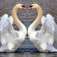 Схема вышивки «№192680»