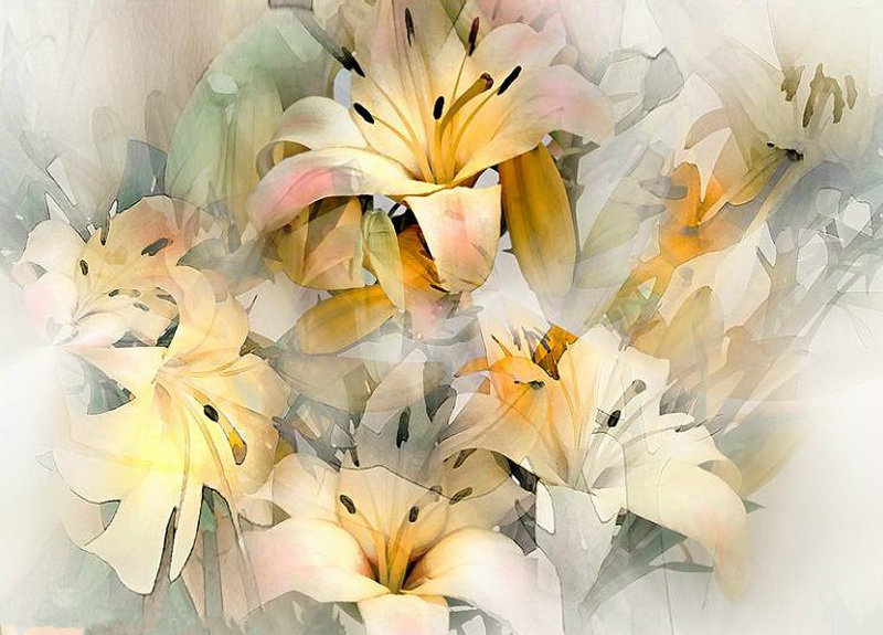 Желтые лилии - лилии, цветы - оригинал