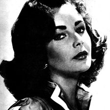 Схема вышивки «Элизабет Тейлор»