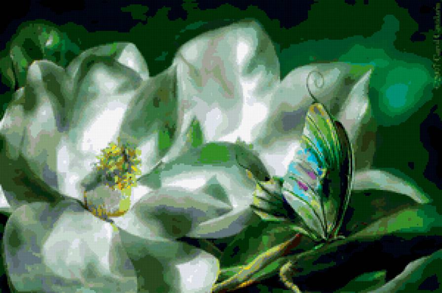 зелёная бабочка - бабочка, цветы, зелень - предпросмотр